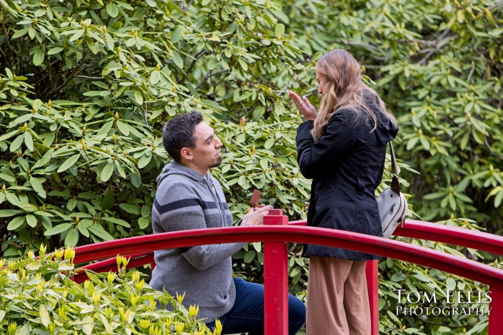 Jesse surprises Alayna with a marriage proposal in Seattle's Kubota Garden