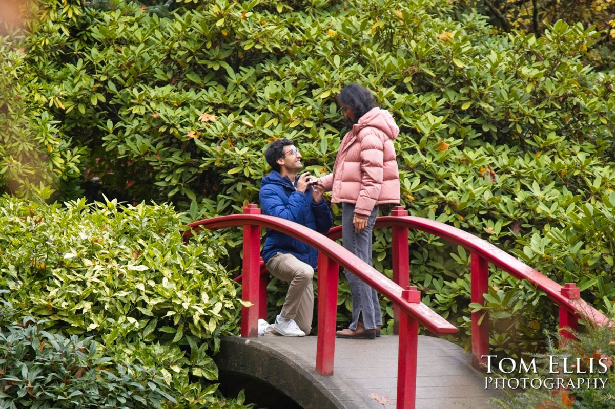 Sneak Peek - Naveen's surprise marriage proposal to Khyati in the Kubta Garden