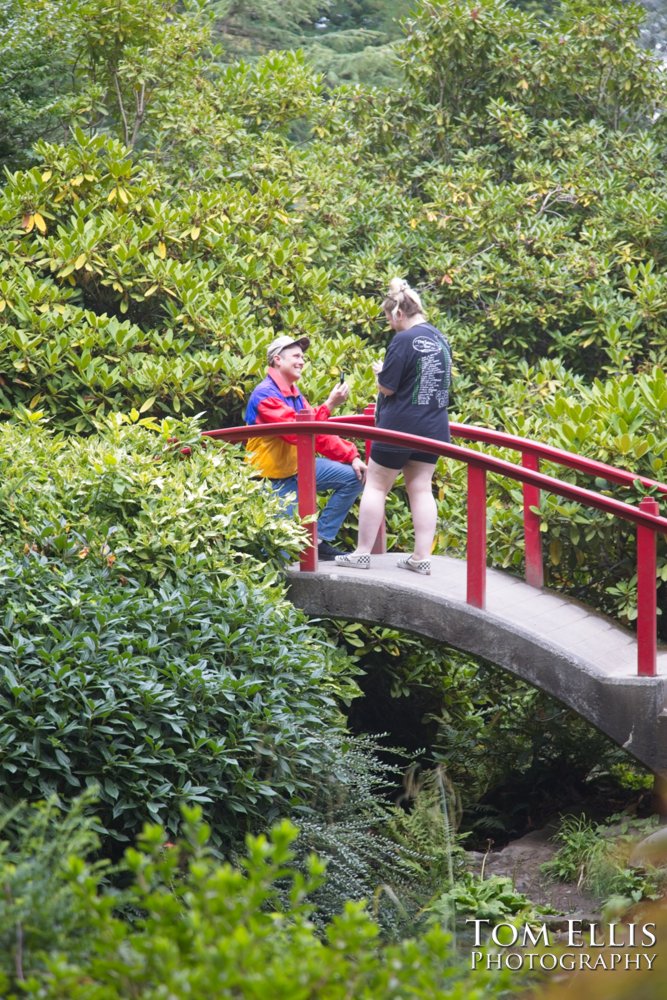 Sam's marriage proposal to Kristin in the Kubota Garden. Tom Ellis Photography, Seattl