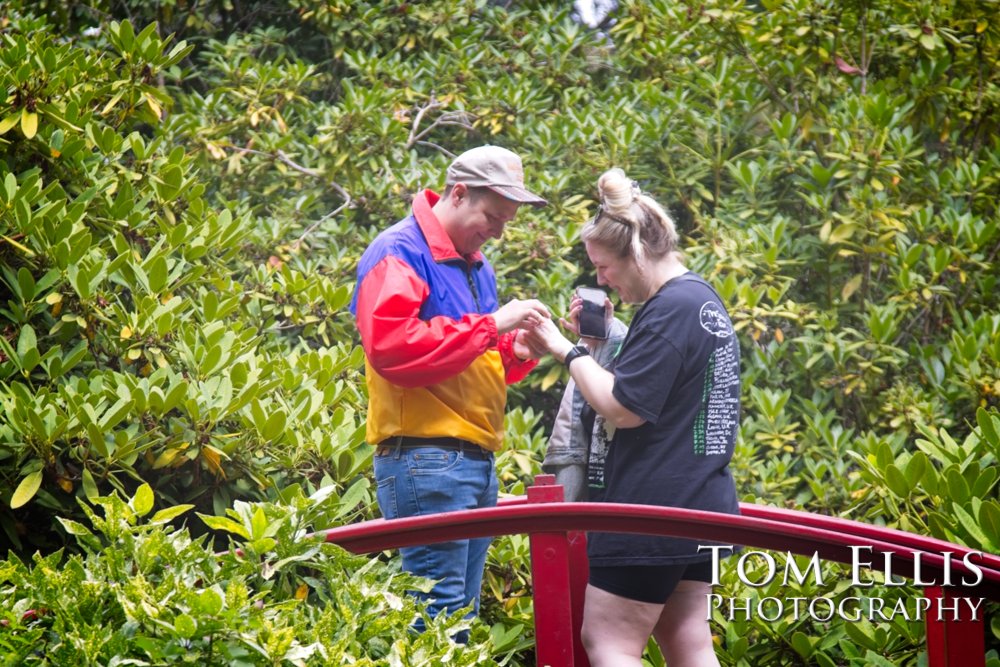 Sam's marriage proposal to Kristin in the Kubota Garden. Tom Ellis Photography, Seattl