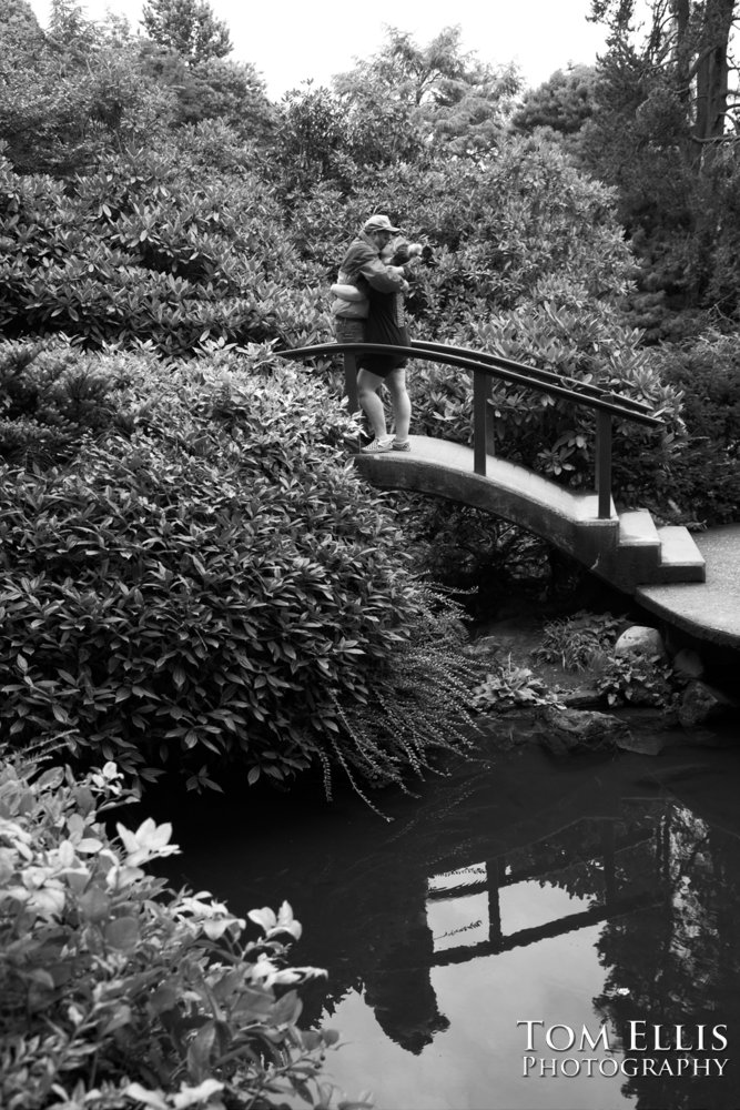 Sam's marriage proposal to Kristin in the Kubota Garden. Tom Ellis Photography, Seattl