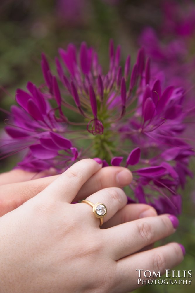 Sam's marriage proposal to Kristin in the Kubota Garden. Tom Ellis Photography, Seattl